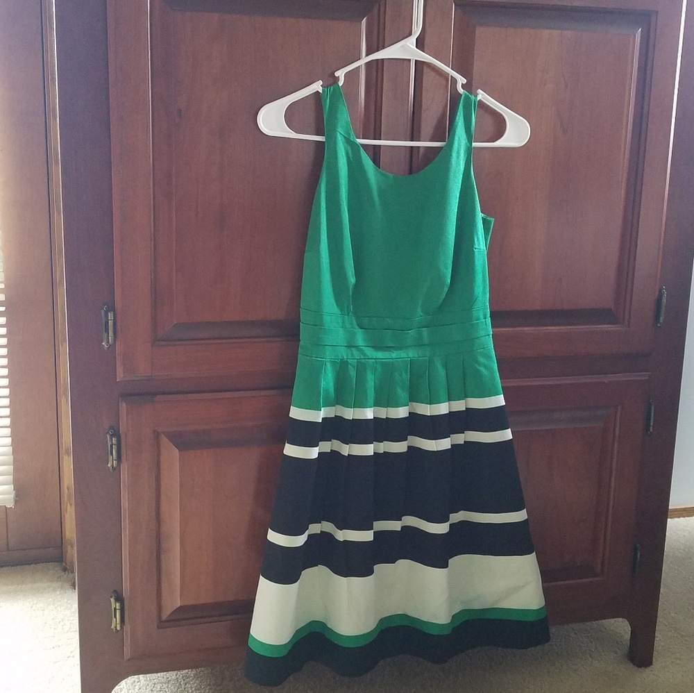 The Limited green and black stripe dress